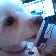 Bianca participe au concours pour gagner de l'argent avec cette photo :