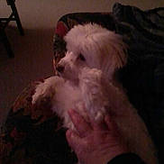 Bianca participe au concours pour gagner de l'argent avec cette photo :