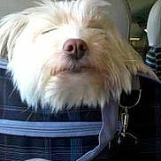 Bianca participe au concours pour gagner de l'argent avec cette photo :