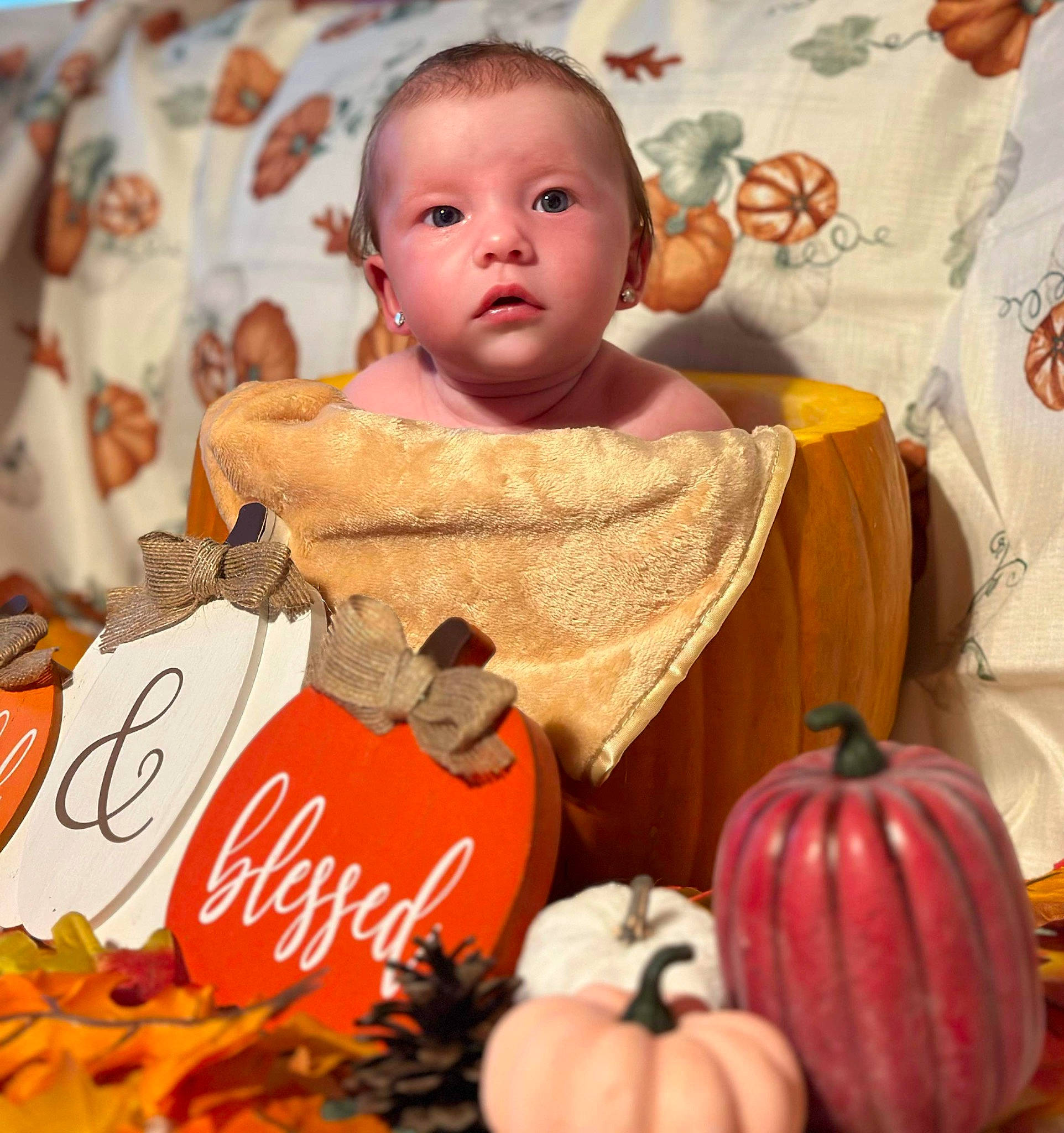 Bexley joined the competition — help win amazing prizes! baby, baby_toddler_clothing, calabaza, child, cucurbita, event, gourd, happy, local_food, natural_foods, orange, person, produce, pumpkin, squash, superfood, sweetness, toddler, vegetable, whole_food
