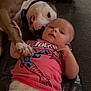 Ray is registered to the contest to win money with this photo: baby, dog, indoor, mat, paws, spiderman_shirt, diaper, carpet, pet, child, animal, friendship, cute, laying_down, holding_hands, face, expression, resting, playful, bond