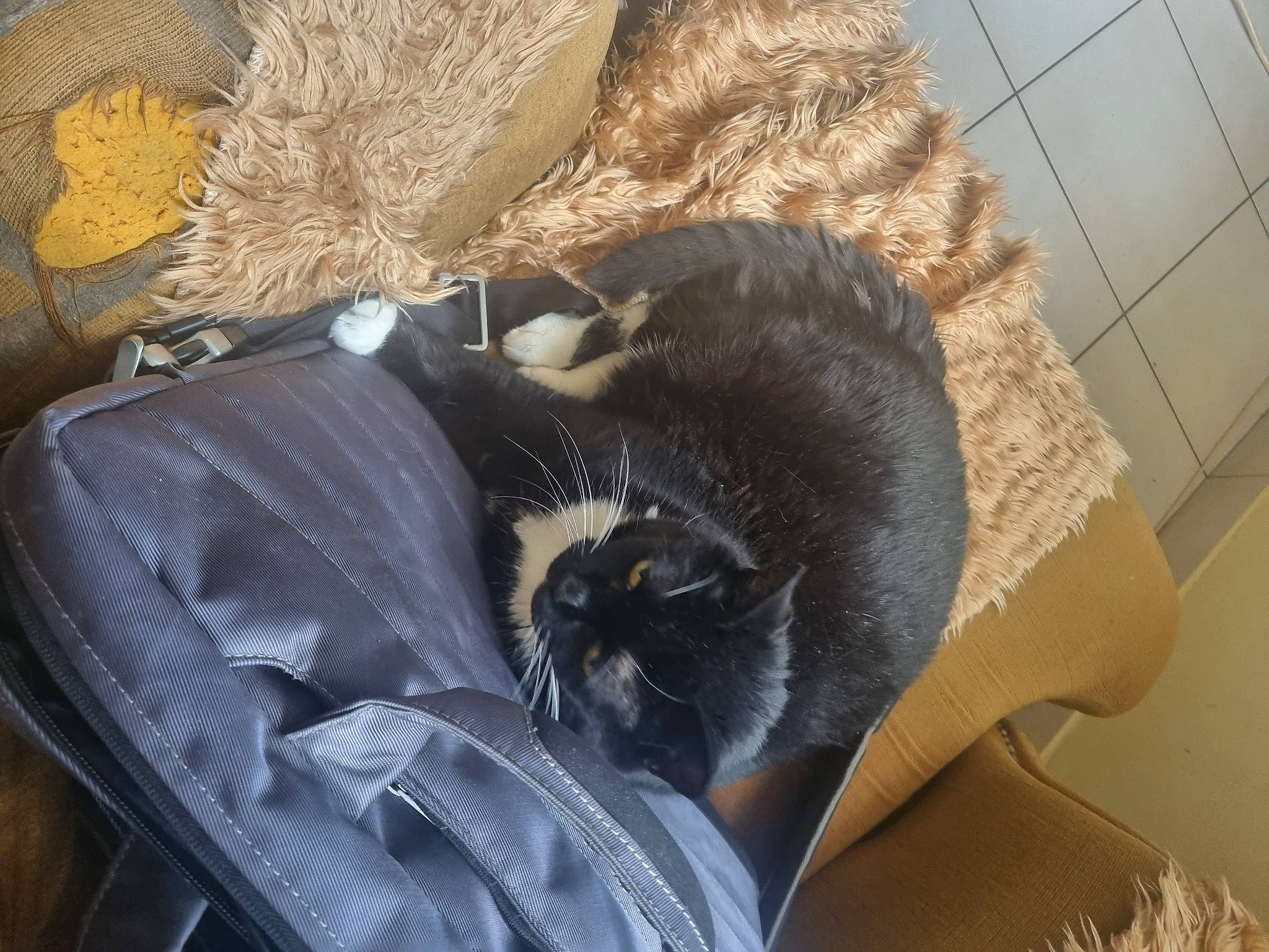 Tsuki