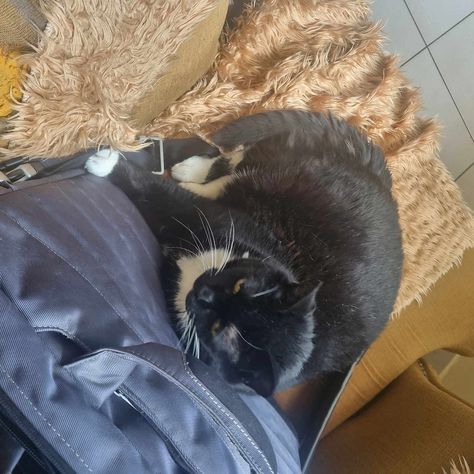 Tsuki