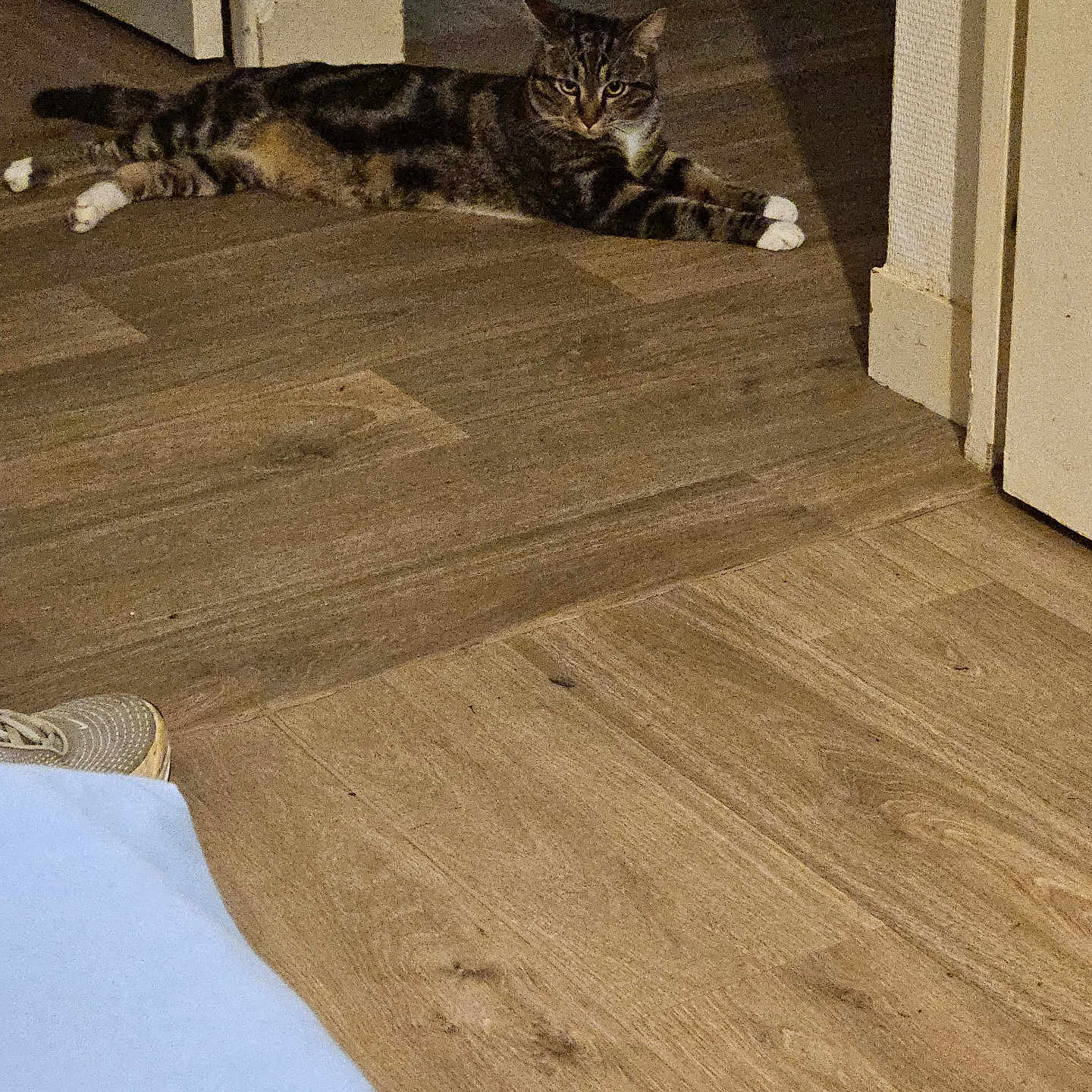 Soko