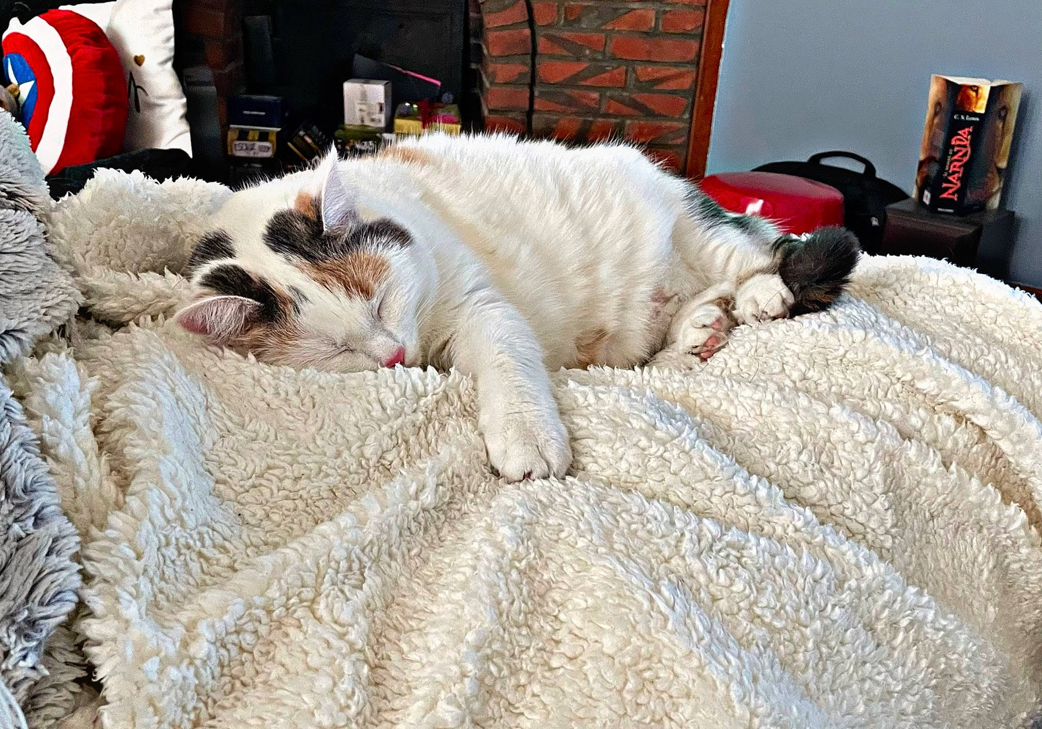 Onaya participe au concours pour gagner de l'argent avec cette photo : bed_sheet, bedding, canidae, carnivore, cat, comfort, companion_dog, domestic_short_haired_cat, fawn, felidae, fur, linens, room, small_to_medium_sized_cats, snout, sporting_group, tail, textile, whiskers, wood