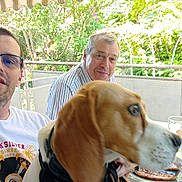 Loki a rejoint le concours — aidez-le/la à gagner de superbes lots ! dog, person, glasses, outdoor, table, food, drink, plate, bread, beverage, smile, garden, daylight, casual, collar, white_shirt, striped_shirt, female, male, sitting