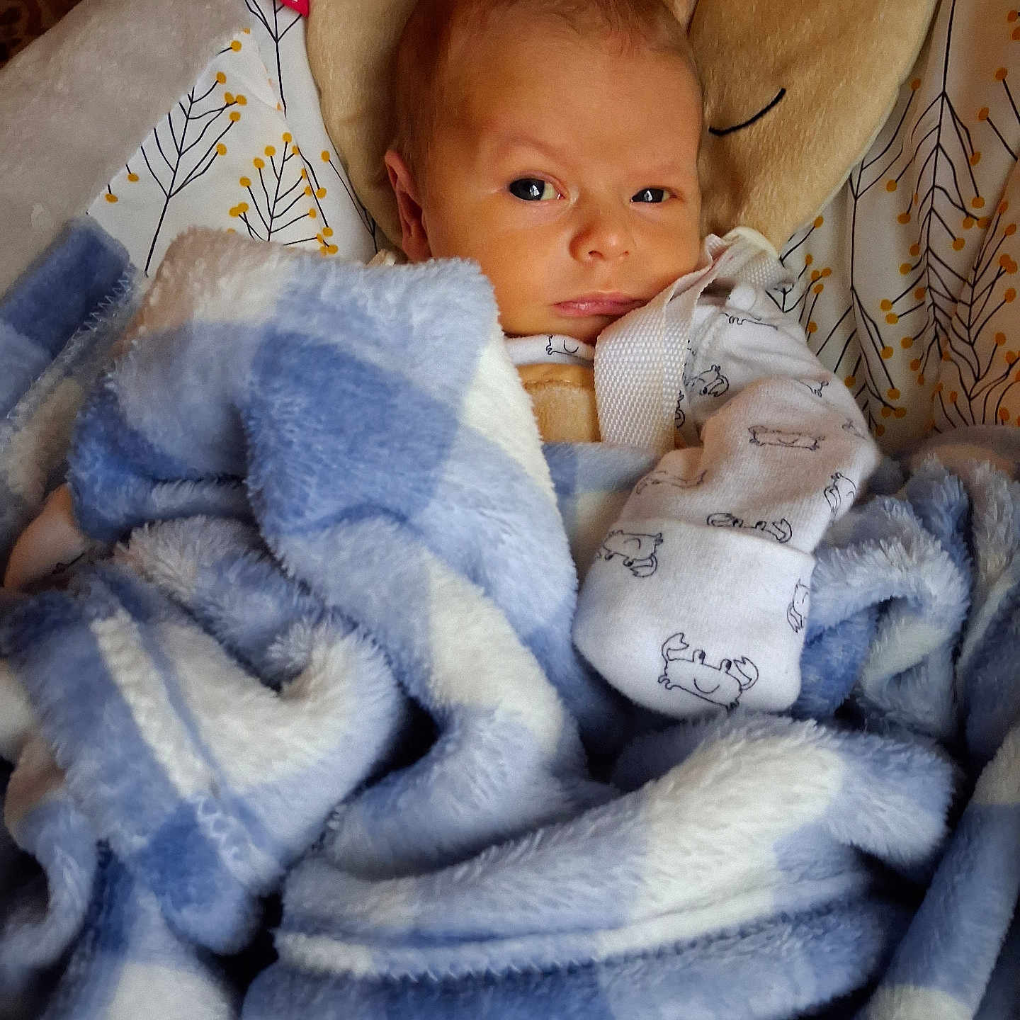 Korbyn is registered to the contest to win money with this photo: baby, newborn, infant, child, portrait, face, eyes, blanket, swaddle, bedding, crib, nursery, cozy, indoors, sleeping, sitting, clothing, blue, white, cute