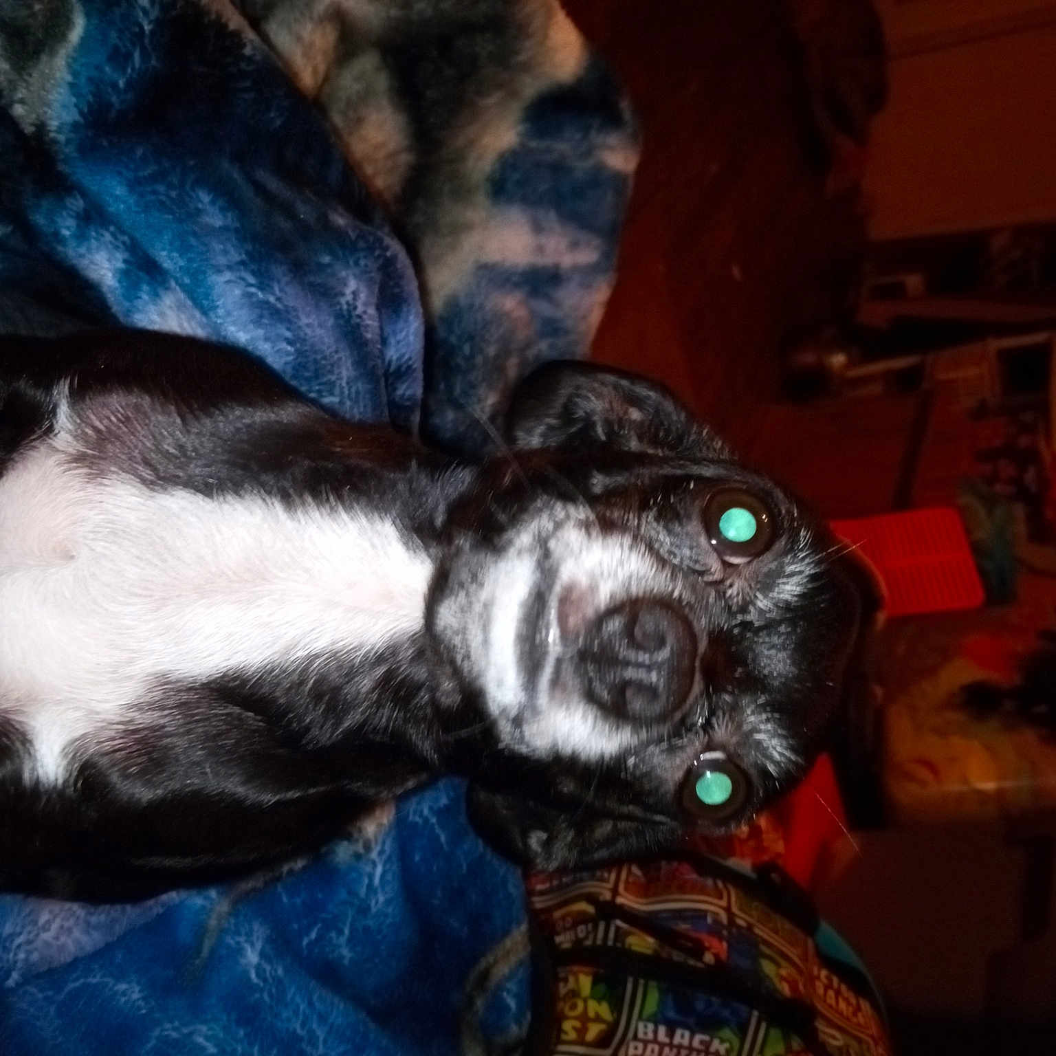 Tootles