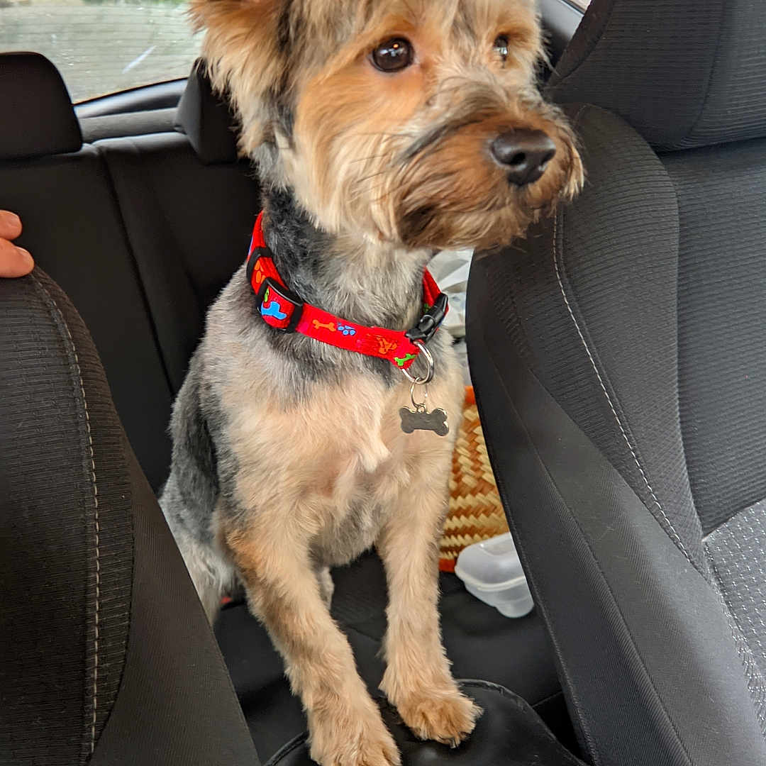 Max