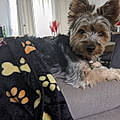 Patrícia T.