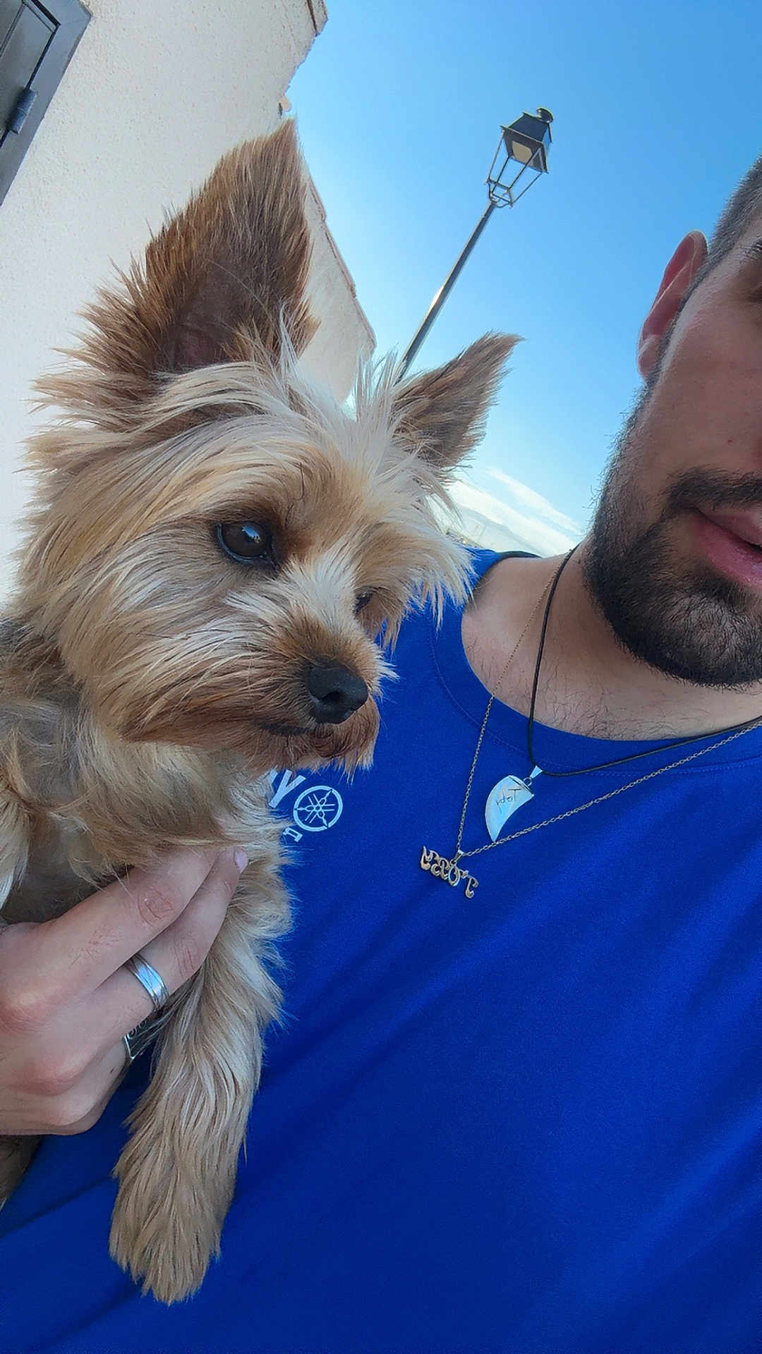 Toby