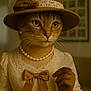 cat, vintage_clothing, hat, feather, pearl_necklace, gloves, lace, bow, portrait, costume, indoor, feline, elegant, brown, dress, closeup, animal, whiskers, fashion, retro