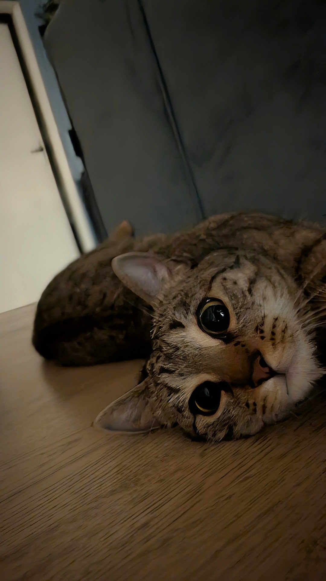 Doudou