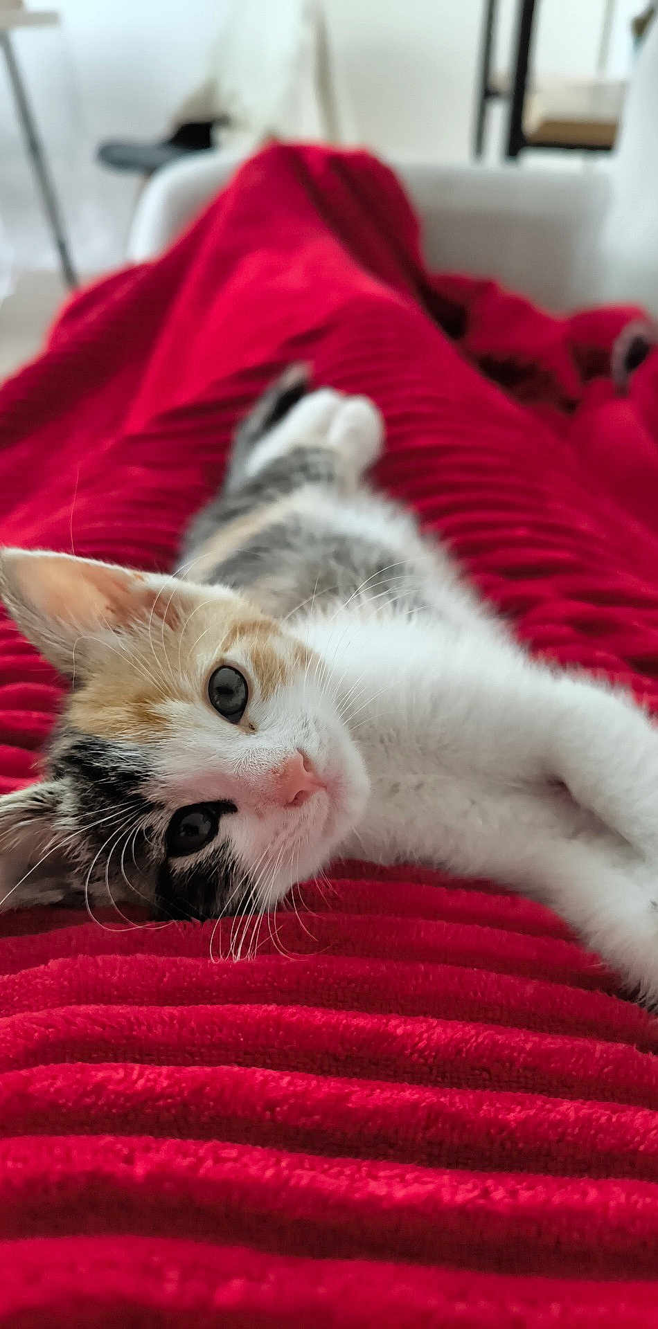 Yumi
