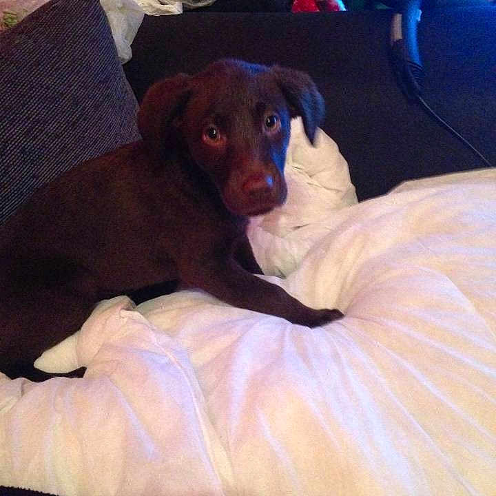 Bella-blue is registered to the contest to win money with this photo: