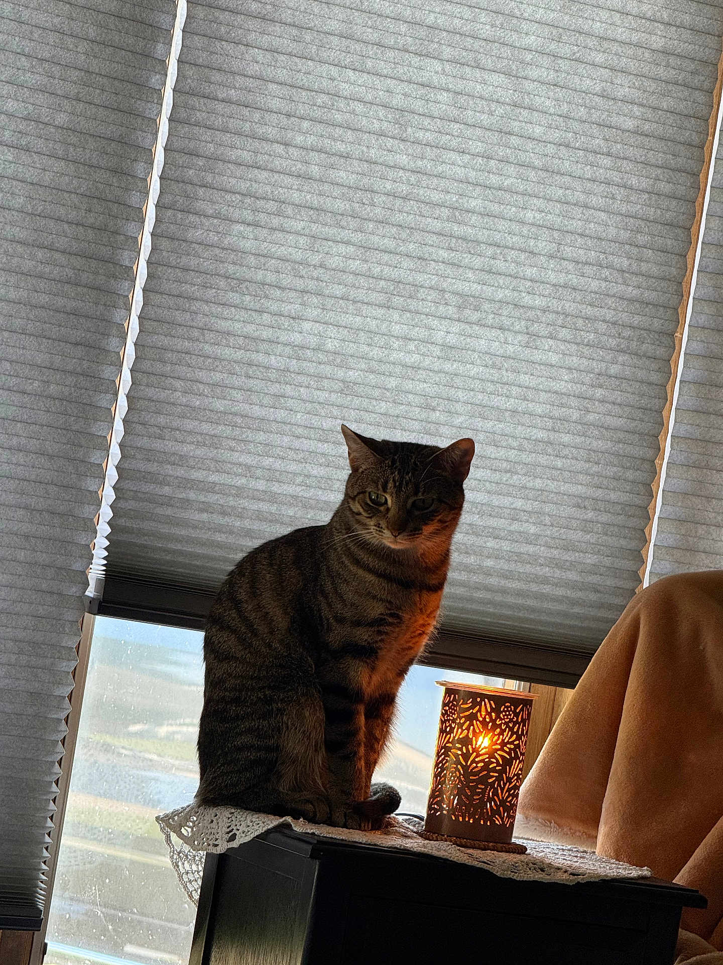 Harper