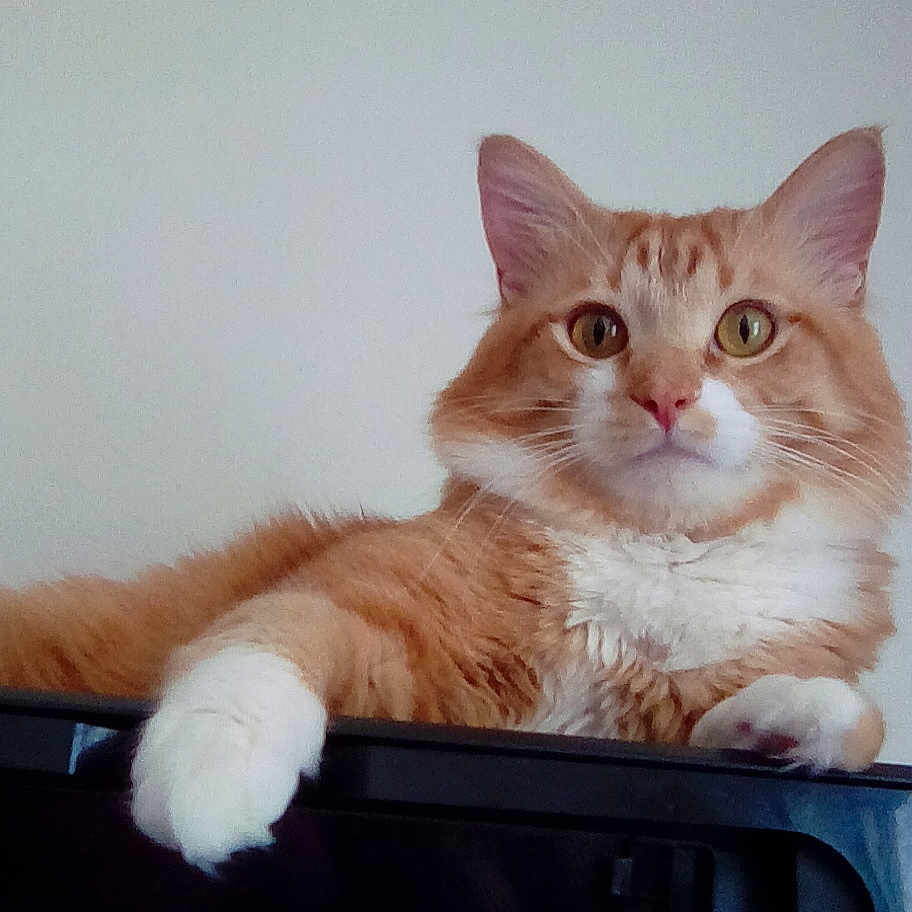 Sweet Pea Aka Tater