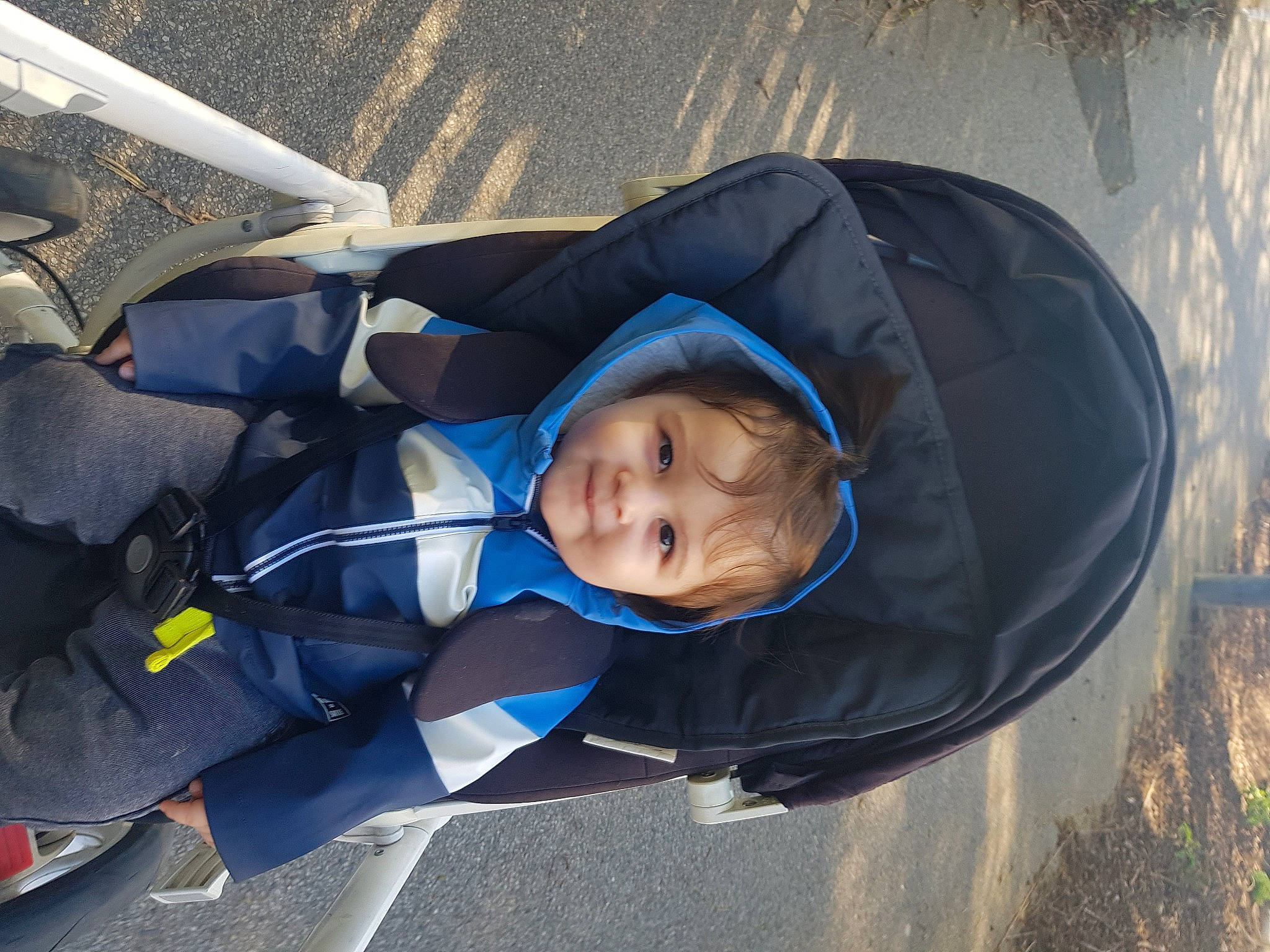 Dennis is registered to the contest to win money with this photo: asphalt, auto_part, automotive_wheel_system, baby, baby_carriage, baby_products, child, comfort, electric_blue, fun, jacket, joy, leisure, motor_vehicle, person, plant, recreation, road_surface, smile, toddler