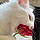 Duchesse