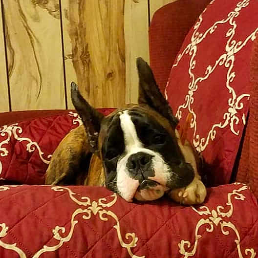 Remington