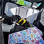 puppy, dog, car_interior, backseat, harness, black_and_white, sunlight, seat, window, colorful_bag, pattern, mushroom_print, pet, animal, resting, domestic, leash, texture, shadow, daylight