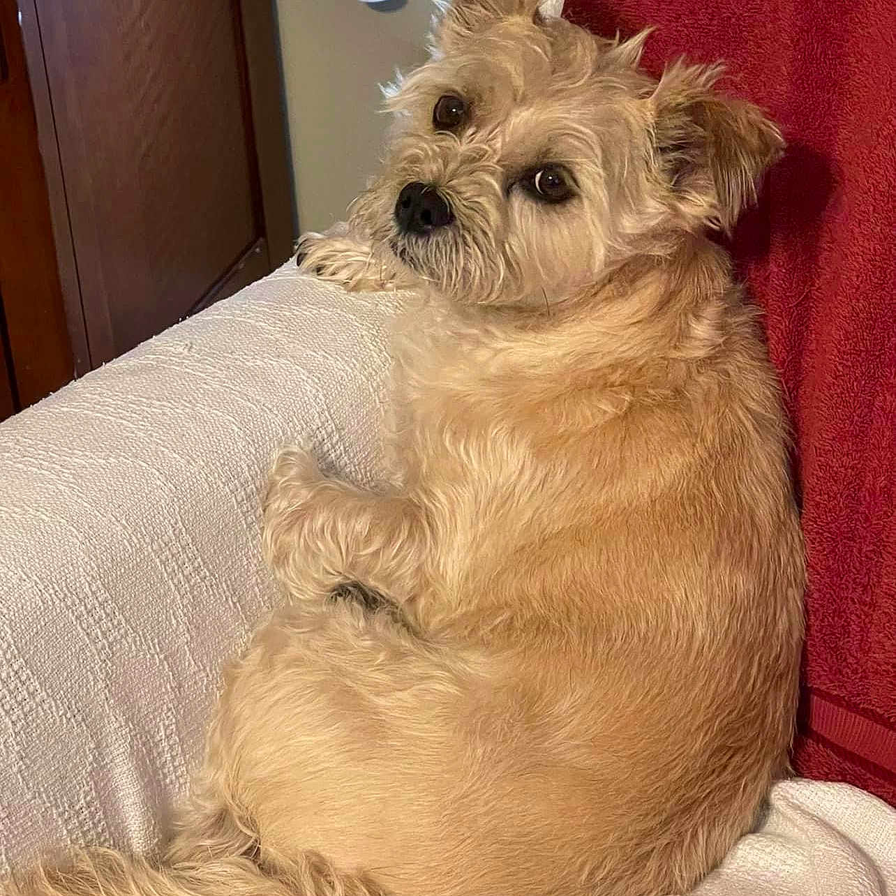 Bella