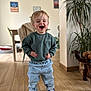 Martin participe au concours pour gagner de l'argent avec cette photo : blond_hair, blue_jeans, casual_clothing, child, cozy, decor, furniture, happy, home, indoor, laughing, living_room, person, plant, portrait, smile, sneakers, sweatshirt, toddler, wooden_floor
