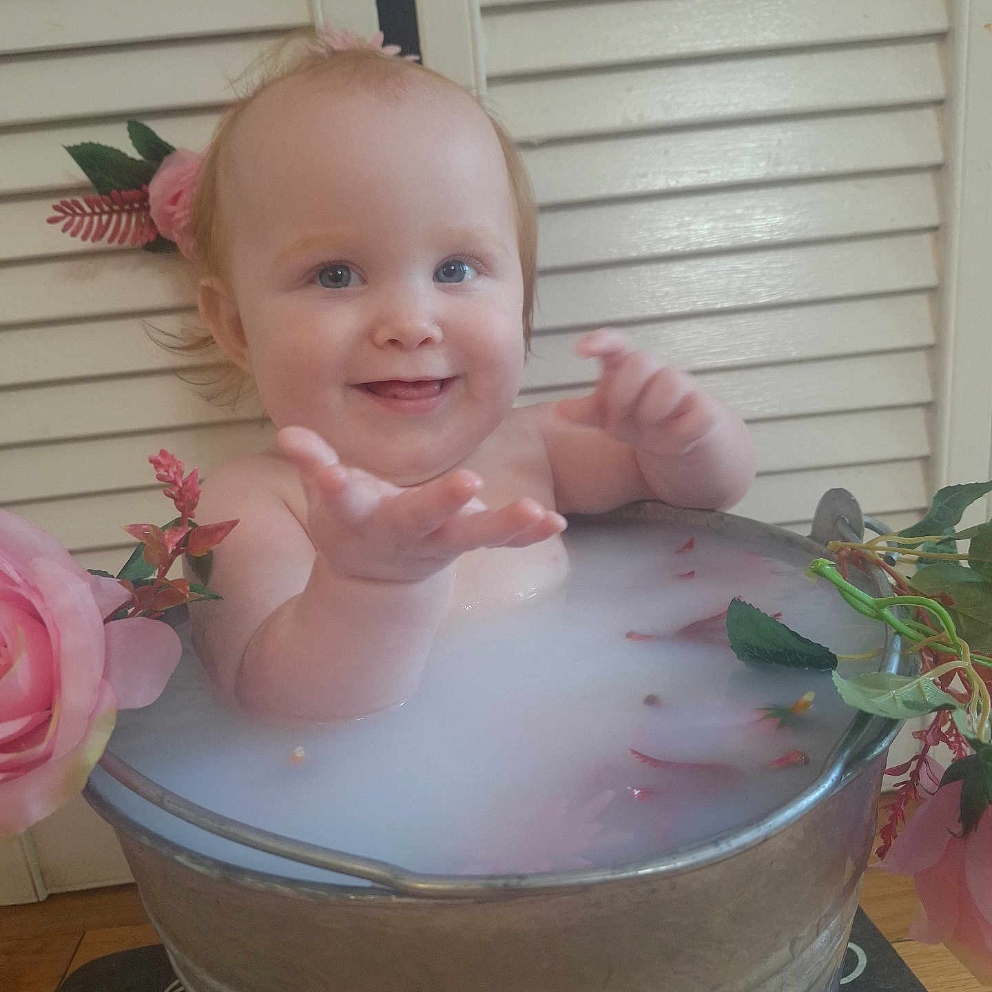 Brennley is registered to the contest to win money with this photo: baby, blue_eyes, child, cute, face, flower_petals, hand, happy, head, indoor, infant, metal_bucket, milk_bath, pink_flowers, playful, portrait, skin, smiling, water, wooden_shutters