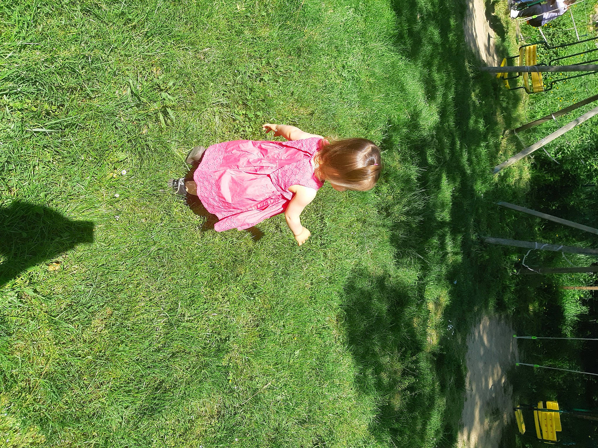 Cataleya participe au concours pour gagner de l'argent avec cette photo : baby, dress, flower, grass, grass_family, grassland, groundcover, landscape, lawn, meadow, people_in_nature, petal, plant, rose, rose_family, shrub, terrestrial_plant, toddler, tree, woody_plant