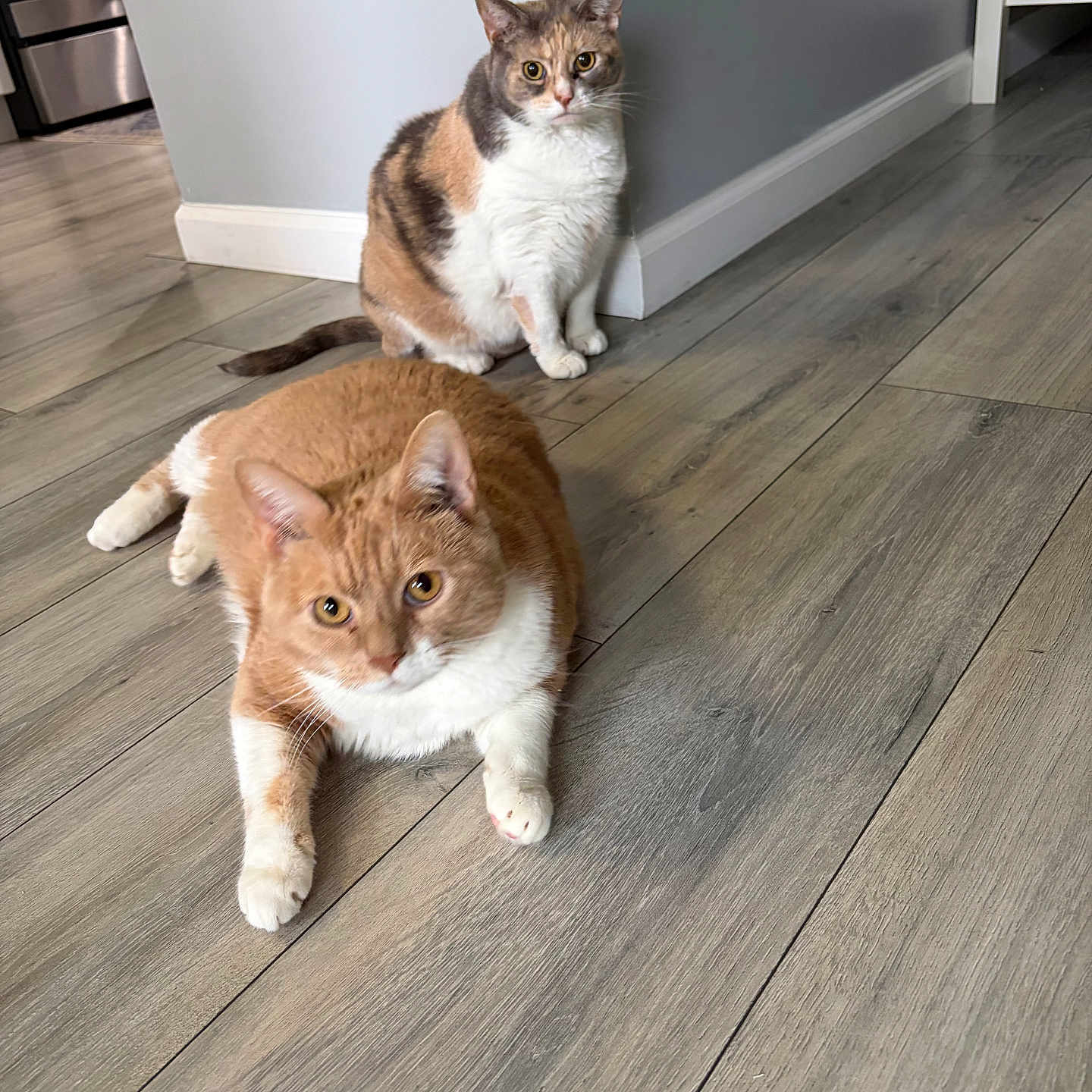 Jack And Jill