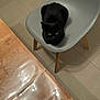 black_cat, cat, chair, indoor, pet, animal, table, wood, floor, tile_floor, looking_up, loaf_position, furniture, domestic_animal, quiet, calm, shadow, modern, minimalist, home