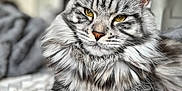 Jade joined the competition — help win amazing prizes! cat, silver_tabby, fluffy_fur, golden_eyes, indoor, bedspread, tablet, closeup, relaxed, pet, feline, portrait, soft_background, texture, whiskers, ears, paw, focus, domestic_animal, cozy