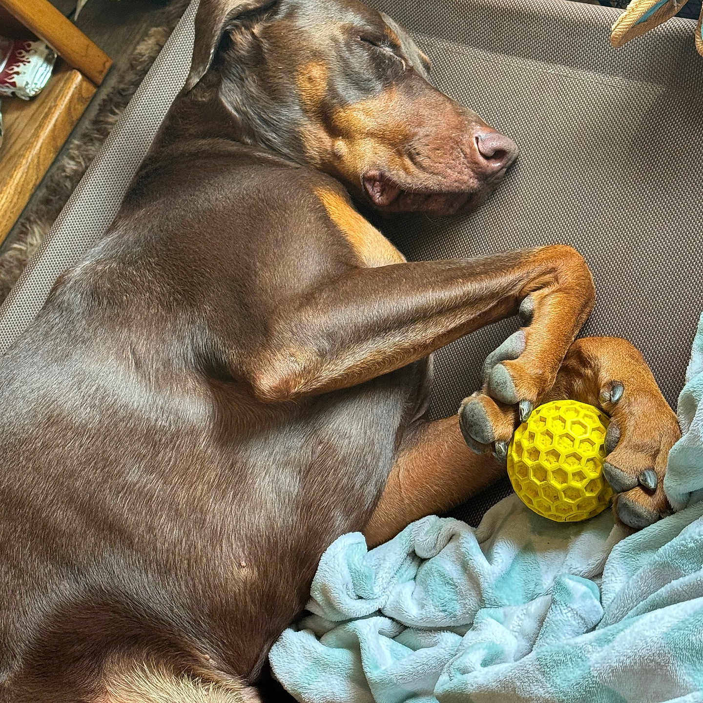 Astro