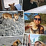 Bama joined the competition — help win amazing prizes! dog, small_dog, tan_dog, harness, beach, sand, woman, smiling_woman, sunglasses, glasses, outdoor, indoor, leash, green_bandana, happy, pet, nature, trees, collage, portrait
