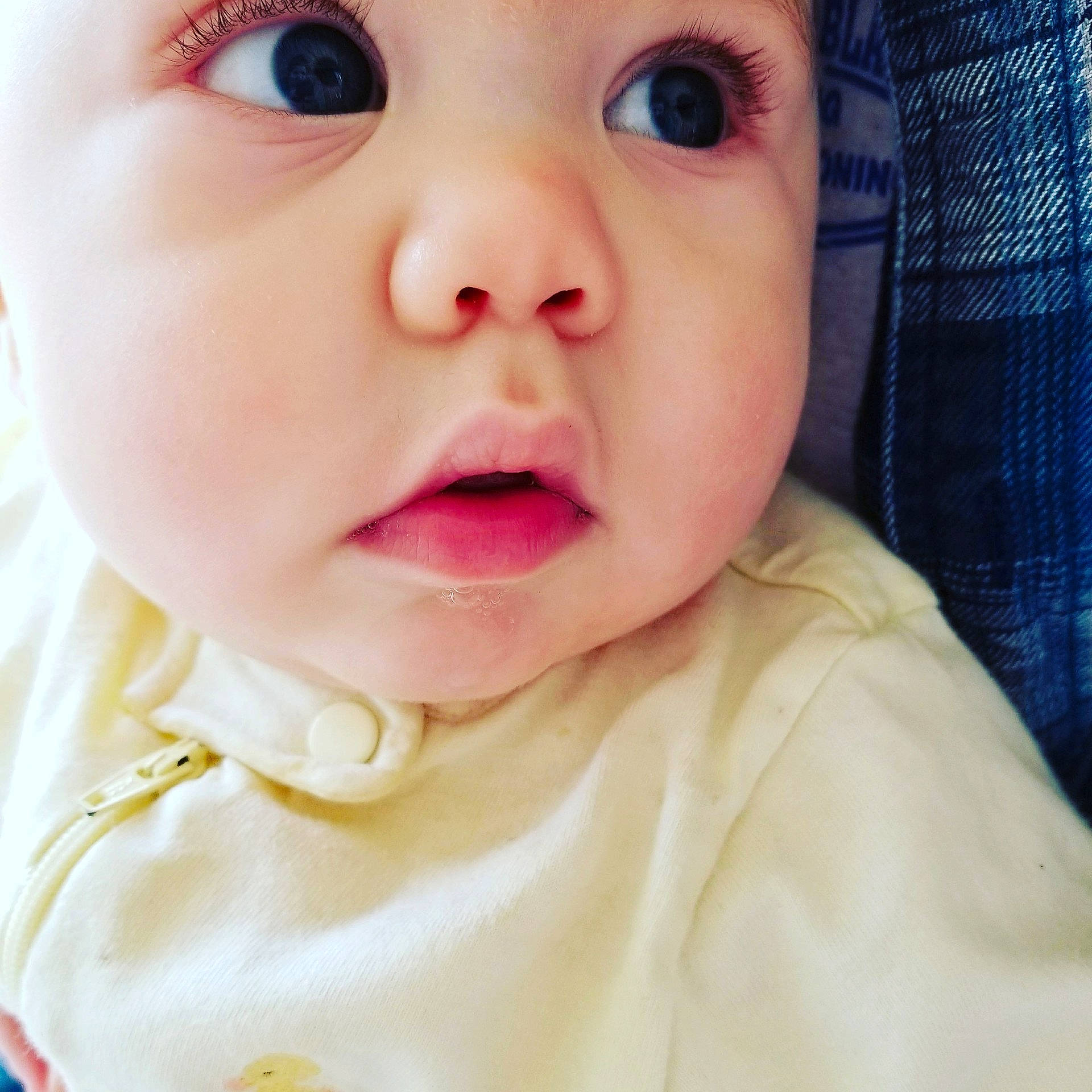 Daisy joined the competition — help win amazing prizes! cheek, child, chin, close_up, ear, face, facial_expression, girl, head, infant, lip, mouth, neck, nose, person, skin, smile, toddler, tongue, tooth