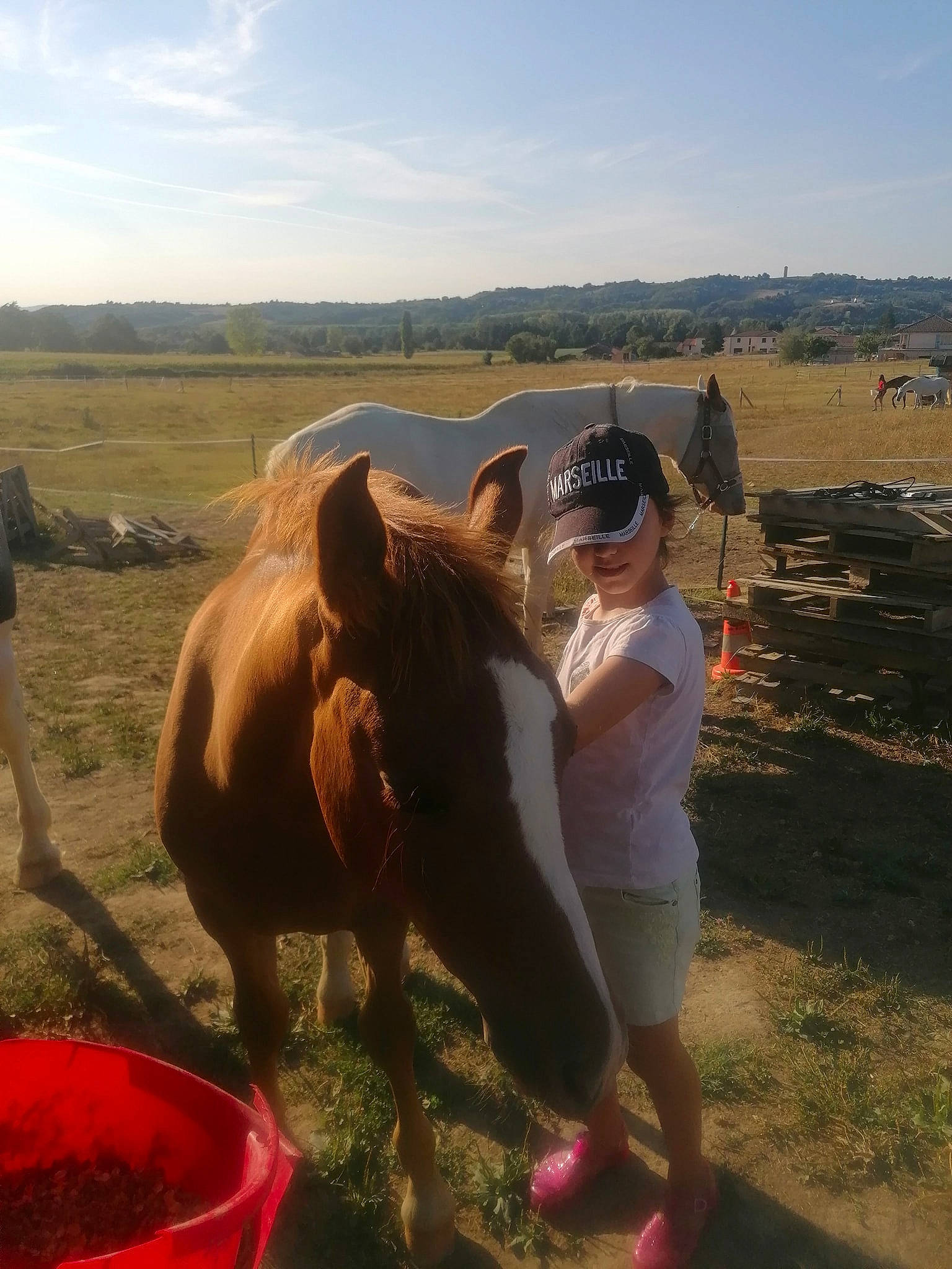 Lilou participe au concours pour gagner de l'argent avec cette photo : adaptation, ecoregion, fawn, fun, grassland, horse, landscape, livestock, mare, pasture, person, photography, plain, ranch, steppe, vacation, working_animal