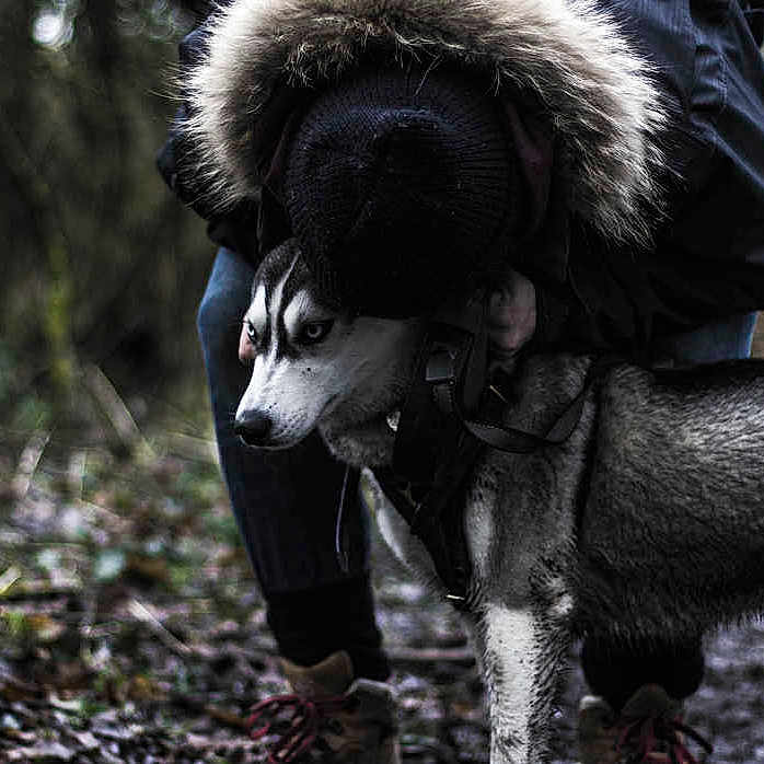 Luna is registered to the contest to win money with this photo: