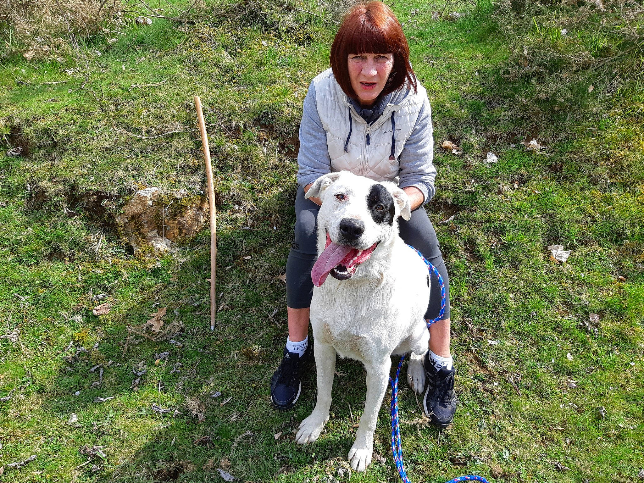 Omer a rejoint le concours — aidez-le/la à gagner de superbes lots ! adventure, canidae, carnivore, dog, dog_breed, dog_hiking, hunting_dog, mammal, non_sporting_group, rare_breed_dog, sporting_group, vertebrate