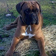 Eros participe au concours pour gagner de l'argent avec cette photo :