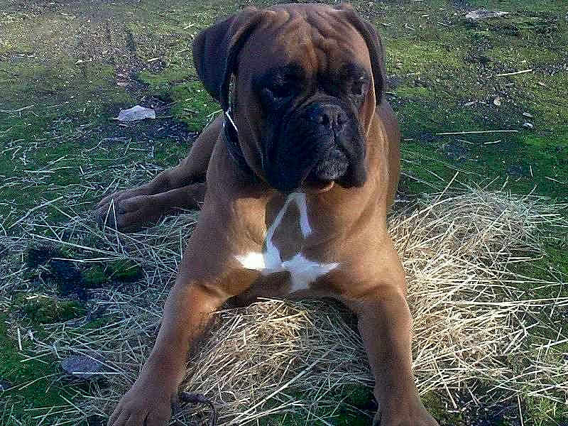 Eros