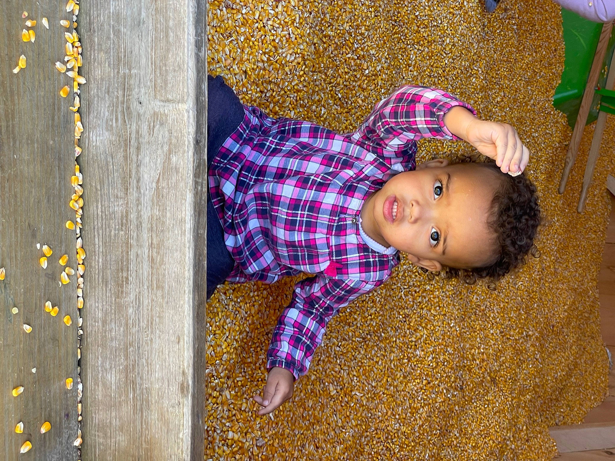 Cali joined the competition — help win amazing prizes! art, baby, baby_toddler_clothing, child, electric_blue, flooring, fun, grass, happy, leisure, magenta, pattern, person, plaid, play, purple, tartan, textile, toddler, violet