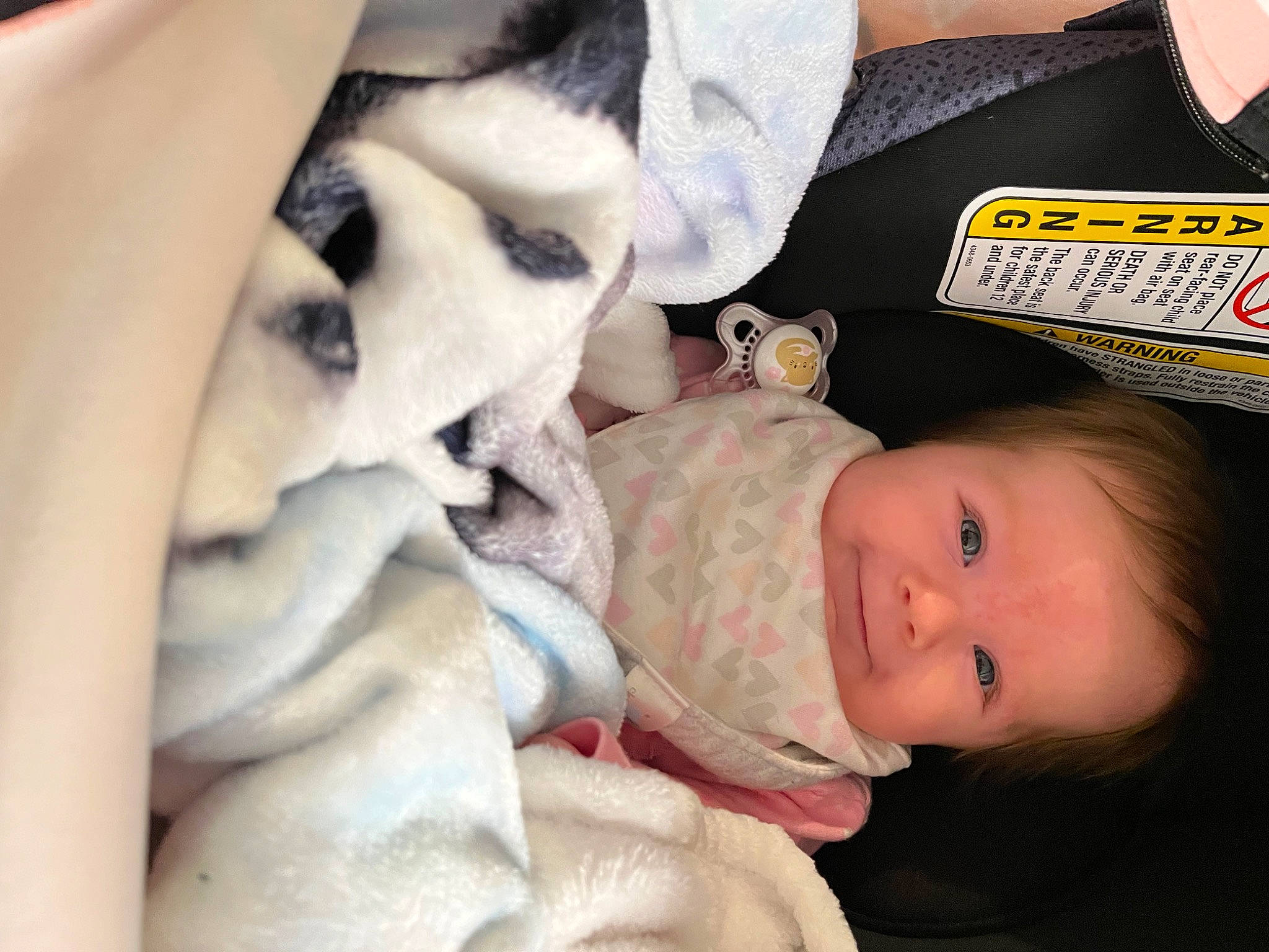 Charli is registered to the contest to win money with this photo: baby, baby_toddler_clothing, beauty, cheek, chest, child, comfort, cool, eyelash, fur, gesture, happy, linens, logo, mouth, nail, person, portrait_photography, skin, toddler