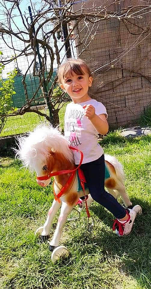 Lahouna participe au concours pour gagner de l'argent avec cette photo : carnivore, companion_dog, dog, fawn, fun, grass, hair, happy, head, joy, leash, leg, leisure, people_in_nature, person, plant, smile, sneakers, summer, swing