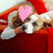Psyka participe au concours pour gagner de l'argent avec cette photo : child, dog, couch, red_couch, pillow, blanket, indoor, cozy, resting, pet, comfort, casual, home, relaxing, snuggle, animal, furniture, warm_colors, soft_texture, companion