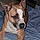 Psyka