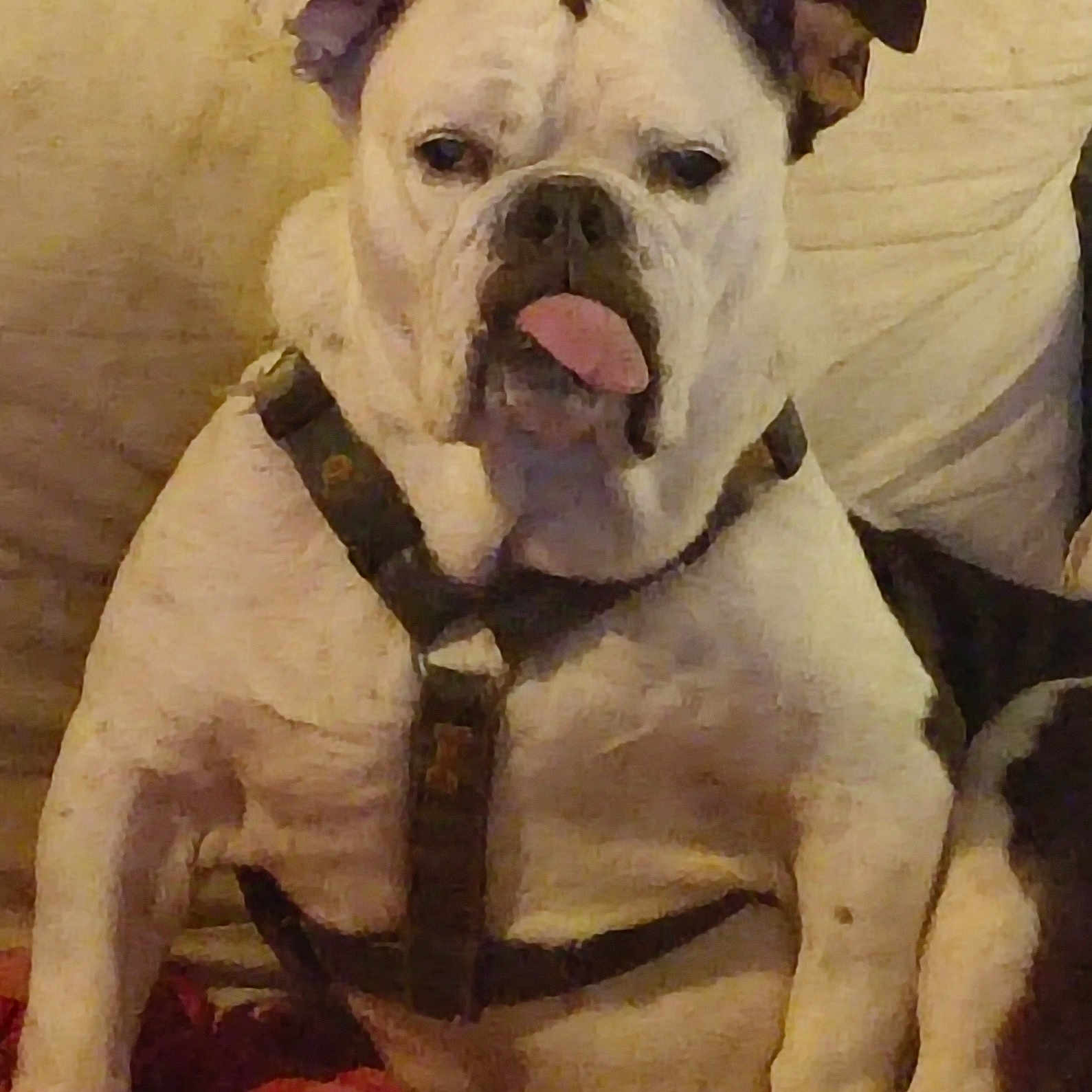 Thelma