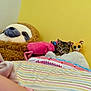 kitten, cat, stuffed_animal, sloth_toy, pink_toy, striped_blanket, yellow_wall, bed, pillow, plush_toy, cute, pet, indoor, resting, cozy, soft_toys, animal, young_cat, colorful, comfort
