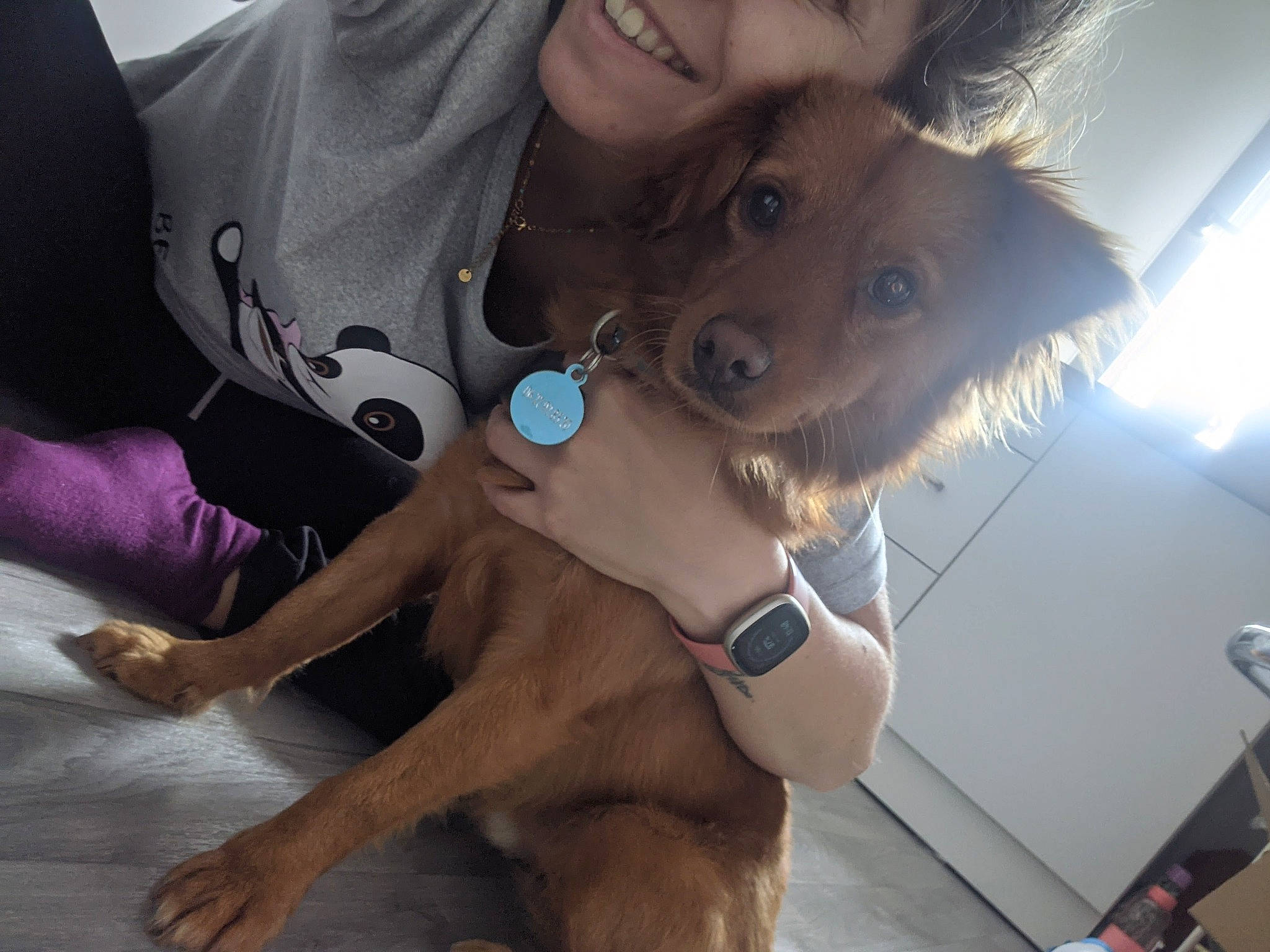 Bingo a rejoint le concours — aidez-le/la à gagner de superbes lots ! carnivore, companion_dog, dog, dog_breed, ear, eyewear, fawn, finger, fun, fur, gesture, happy, jewellery, selfie, shoulder, skin, smile, snout, sunglasses, whiskers