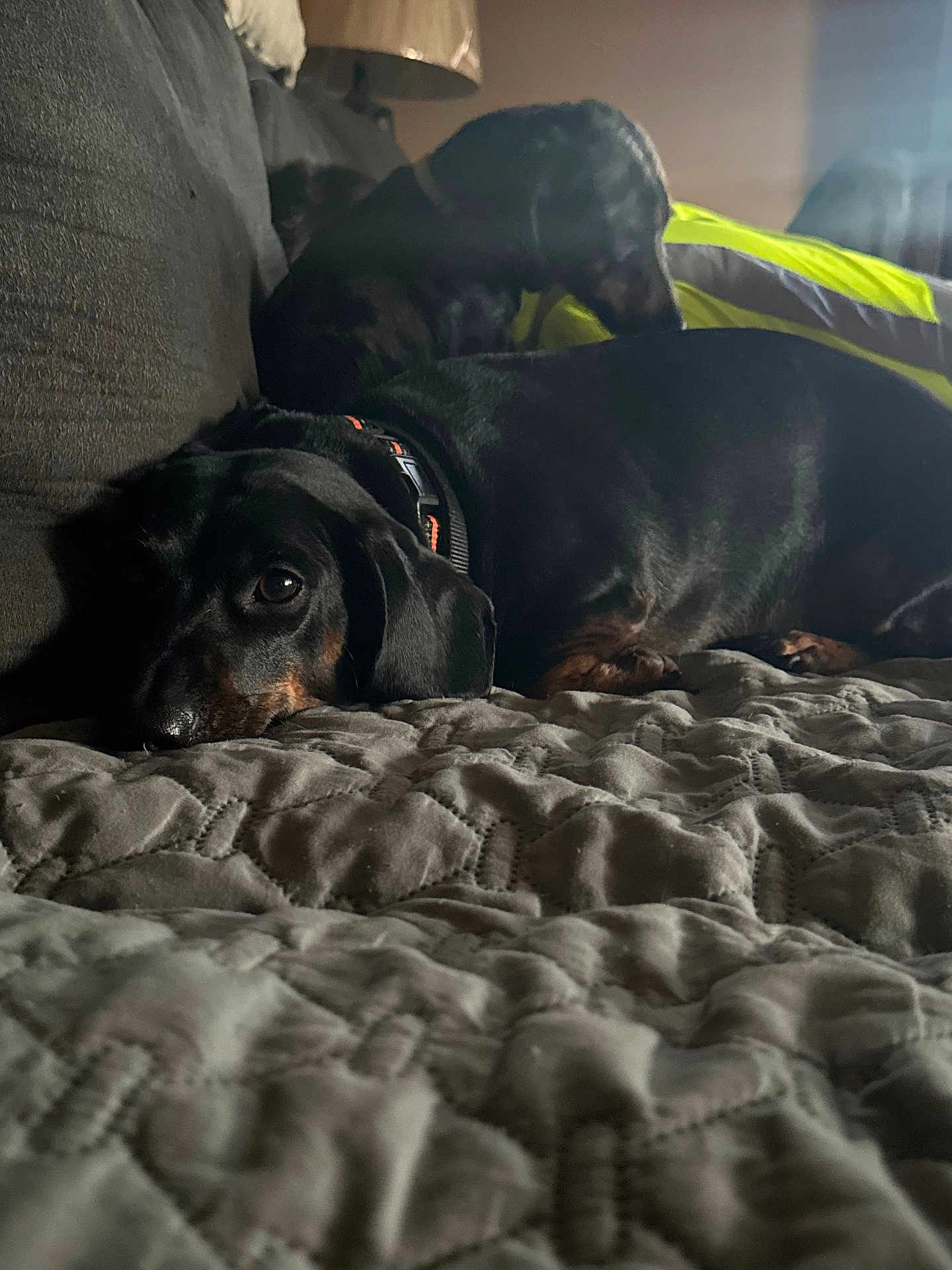 Charlie
