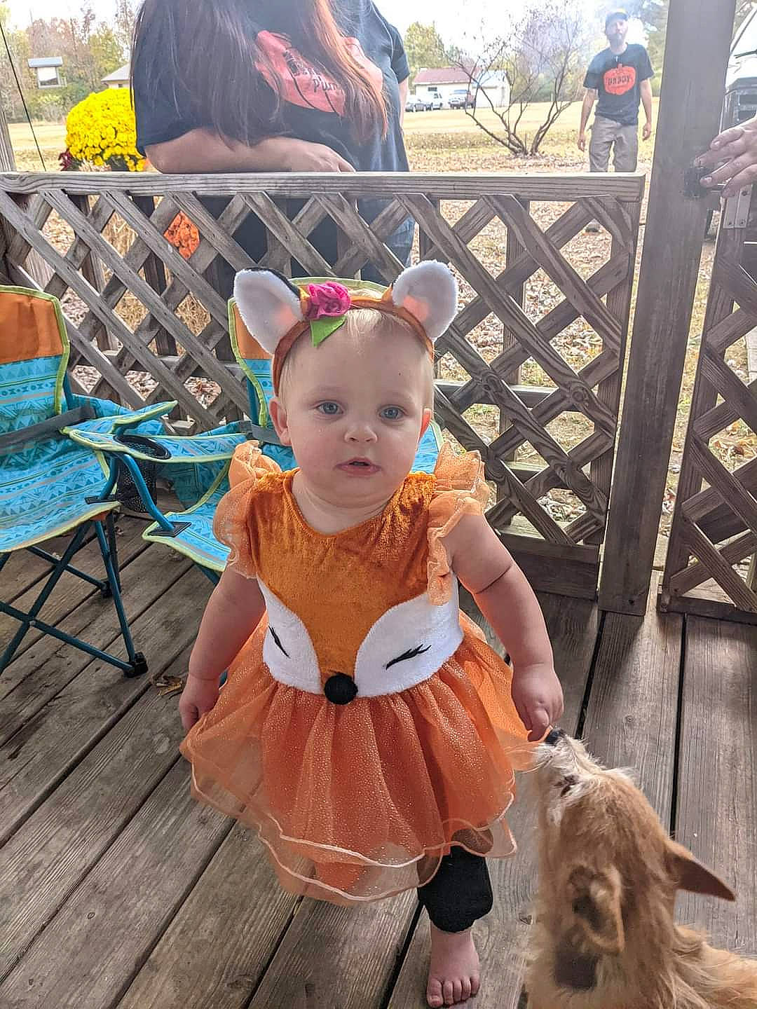 Emalynn joined the competition — help win amazing prizes! baby, baby_toddler_clothing, chair, child, companion_dog, dog, fawn, fence, flooring, fur, grass, happy, hat, outdoor_furniture, peach, person, sitting, toddler, toy, toy_dog